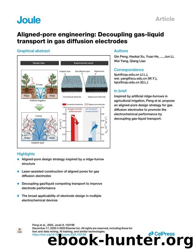 Aligned-pore engineering: Decoupling gas-liquid transport in gas diffusion electrodes by Qin Peng