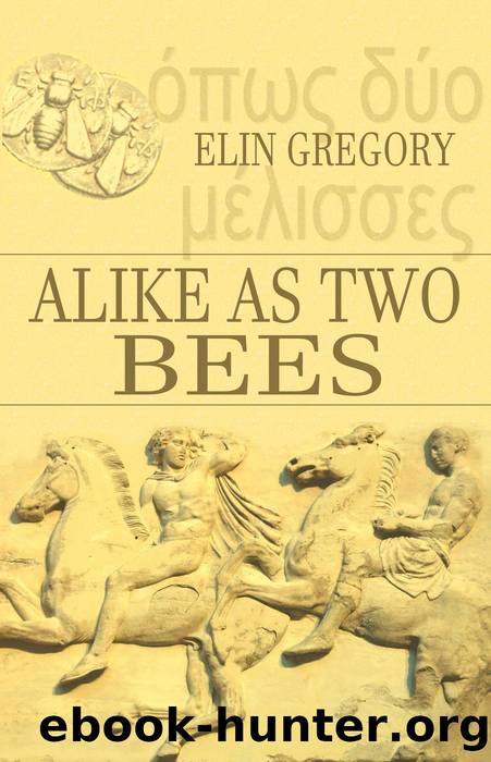 Alike As Two Bees by elin gregory