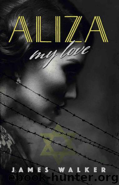 Aliza, my love by James Walker