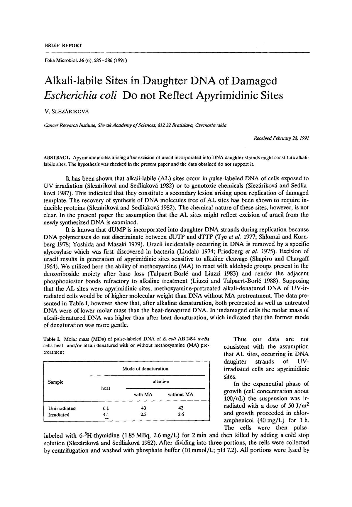 Alkali-labile sites in daughter DNA of damaged <Emphasis Type="Italic">Escherichia coli <Emphasis> do not reflect apyrimidinic sites by Unknown