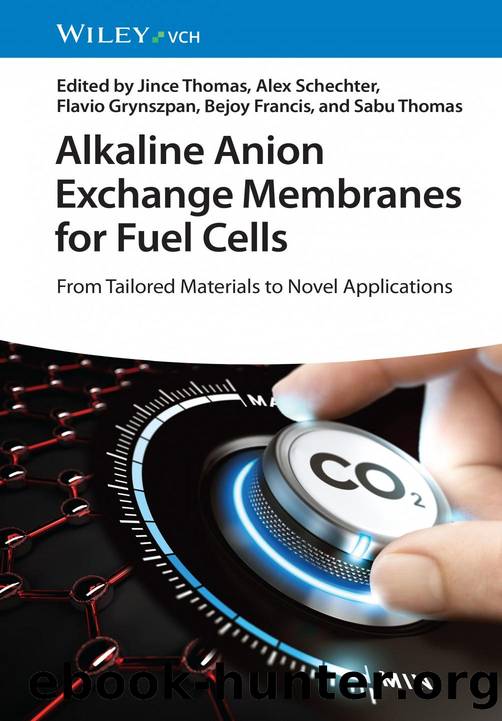 Alkaline Anion Exchange Membranes for Fuel Cells by Jince Thomas Alex Schechter Flavio Grynszpan Bejoy Francis and Sabu Thomas