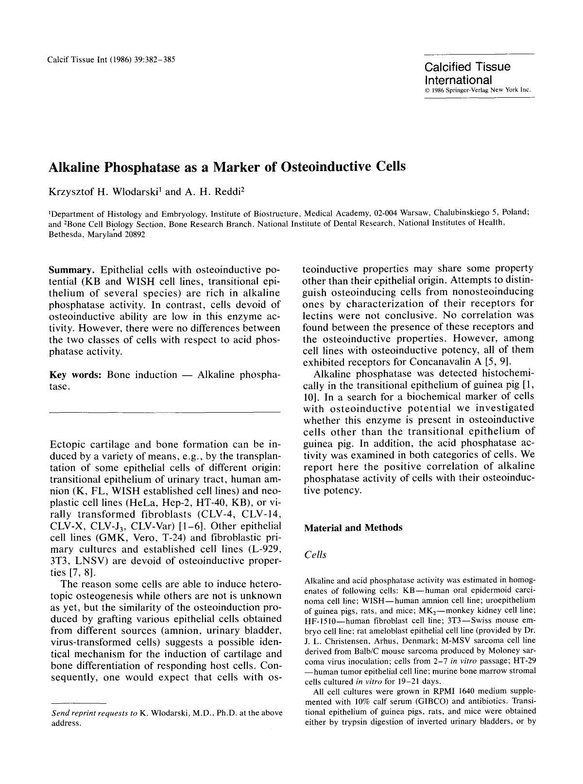 Alkaline phosphatase as a marker of osteoinductive cells by Unknown
