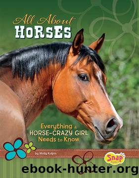 All About Horses by Molly Kolpin