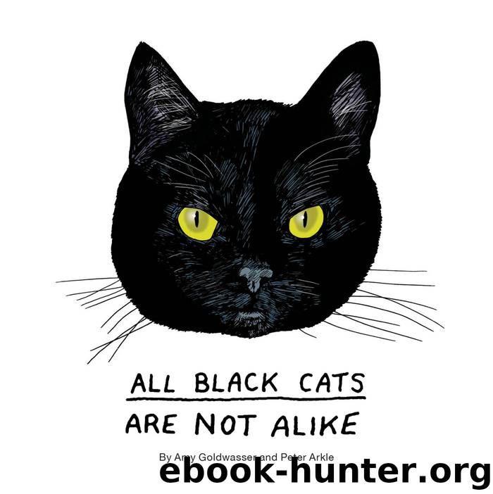 All Black Cats are Not Alike by Amy Goldwasser