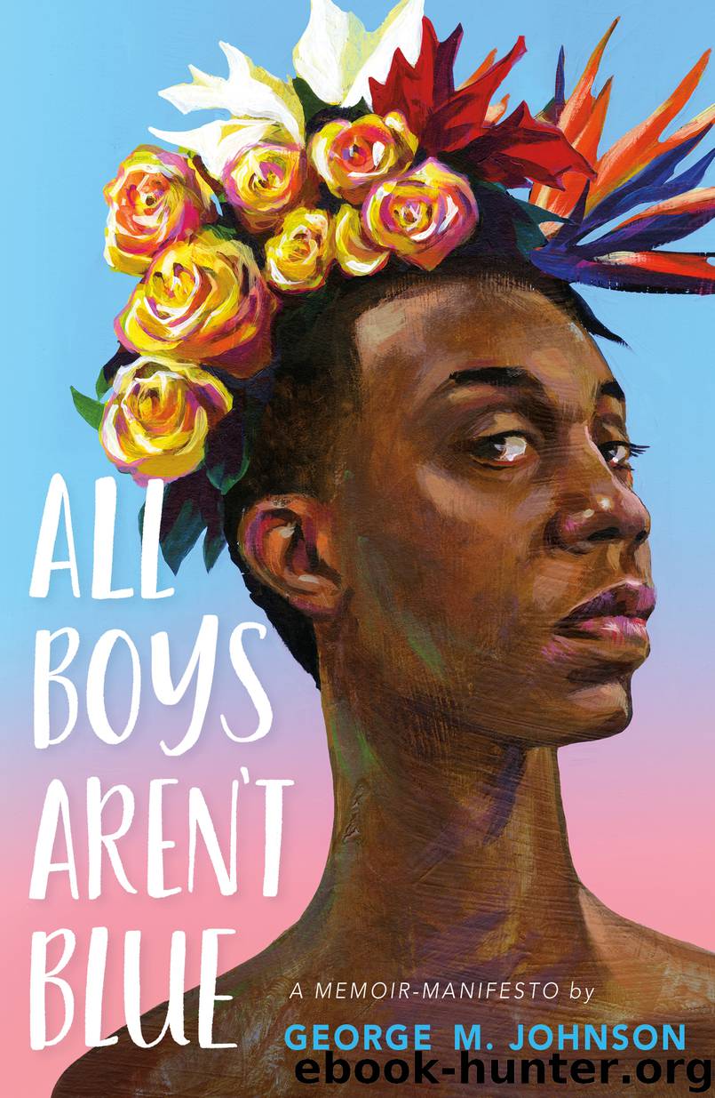All Boys Aren't Blue by George M. Johnson