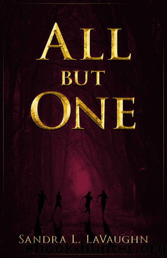 All But One by Sandra LaVaughn