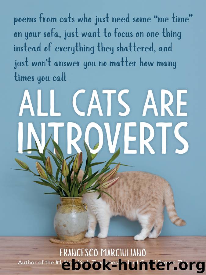 All Cats Are Introverts by Francesco Marciuliano