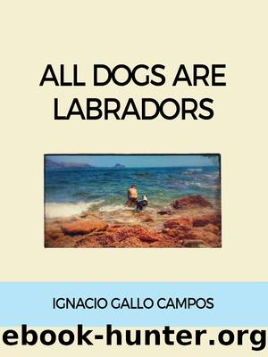 All Dogs Are Labradors by Ignacio Gallo Campos