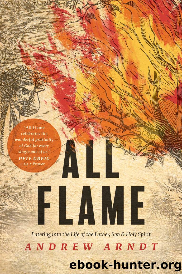 All Flame by Andrew Arndt