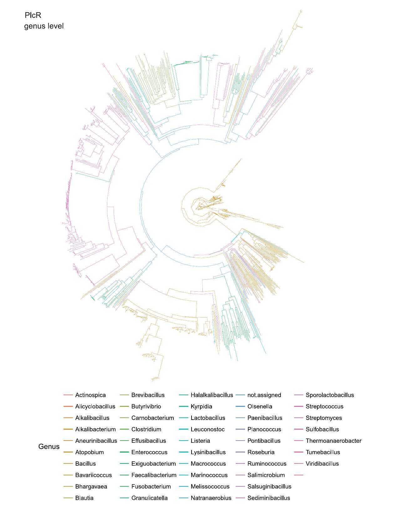 All Genus and species v2.cdr by Michael Federle