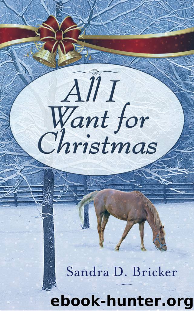 All I Want for Christmas by Sandra D. Bricker