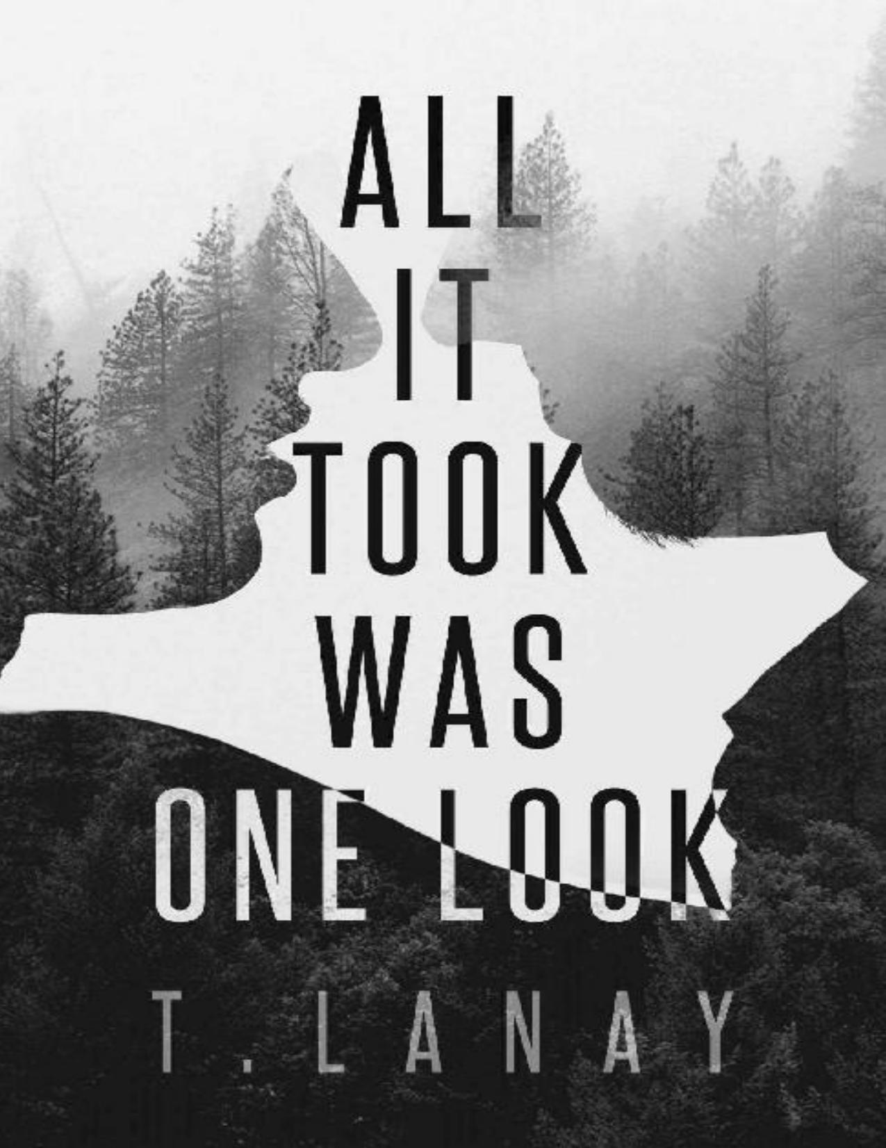 All It Took Was One Look by T. Lanay