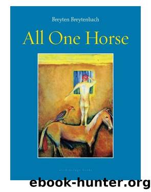 All One Horse by Breyten Breytenbach