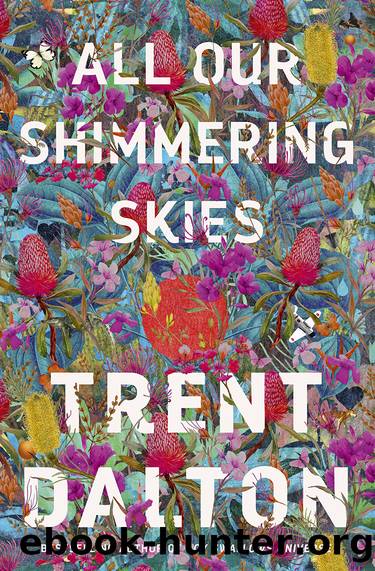 All Our Shimmering Skies by Trent Dalton