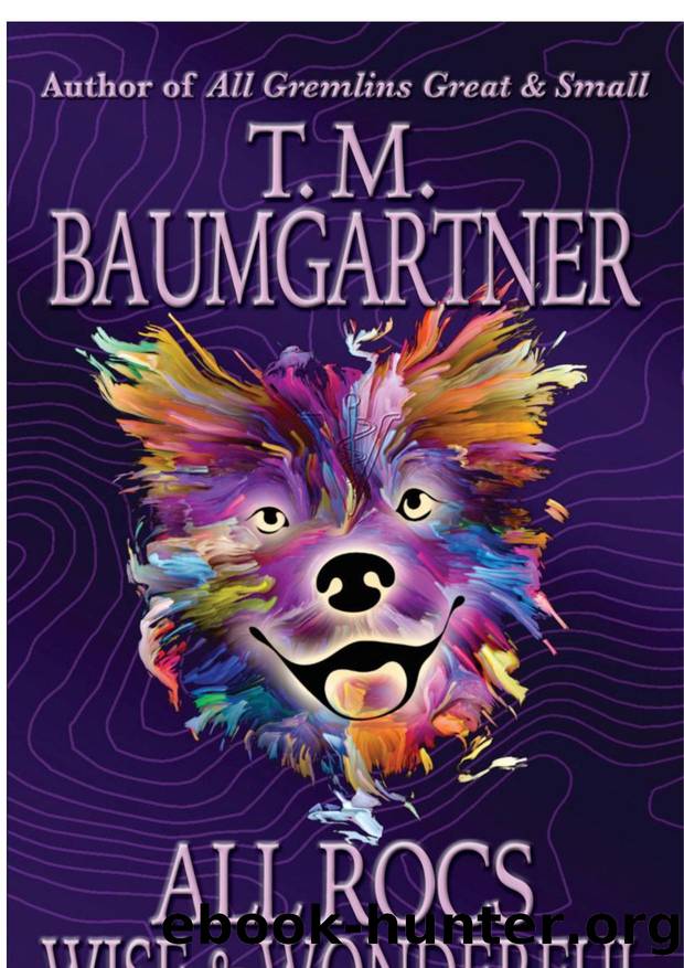 All Rocs Wise & Wonderful by T. M. Baumgartner