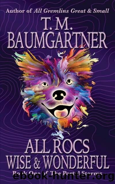 All Rocs Wise & Wonderful by T.M. Baumgartner