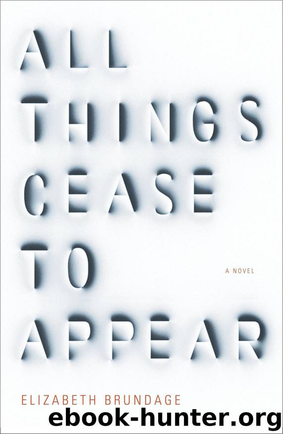 All Things Cease to Appear by Brundage Elizabeth