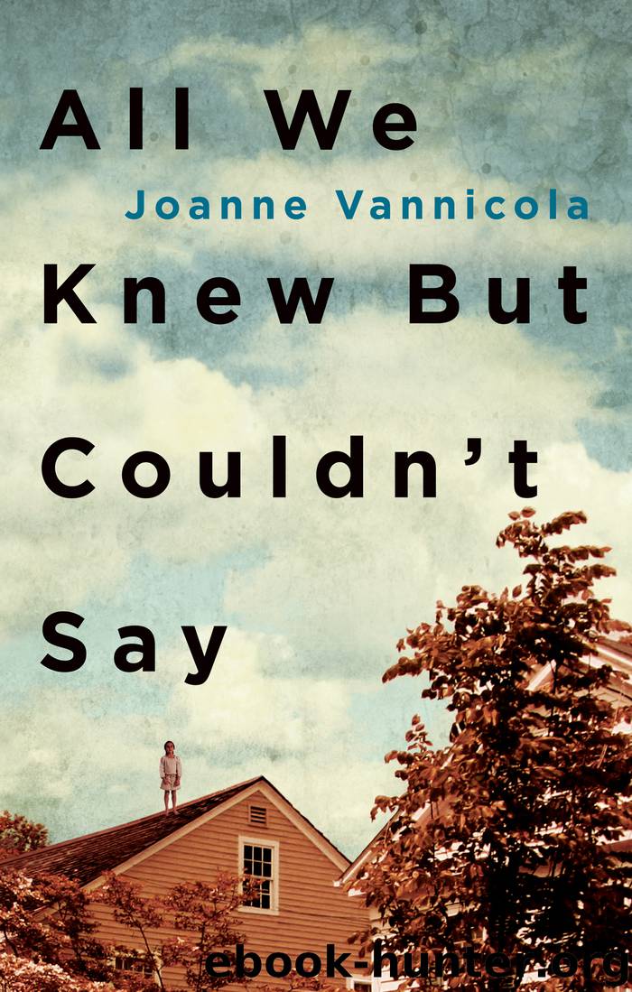 All We Knew But Couldn't Say by Joanne Vannicola