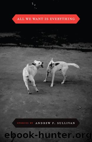 All We Want Is Everything by Andrew F. Sullivan