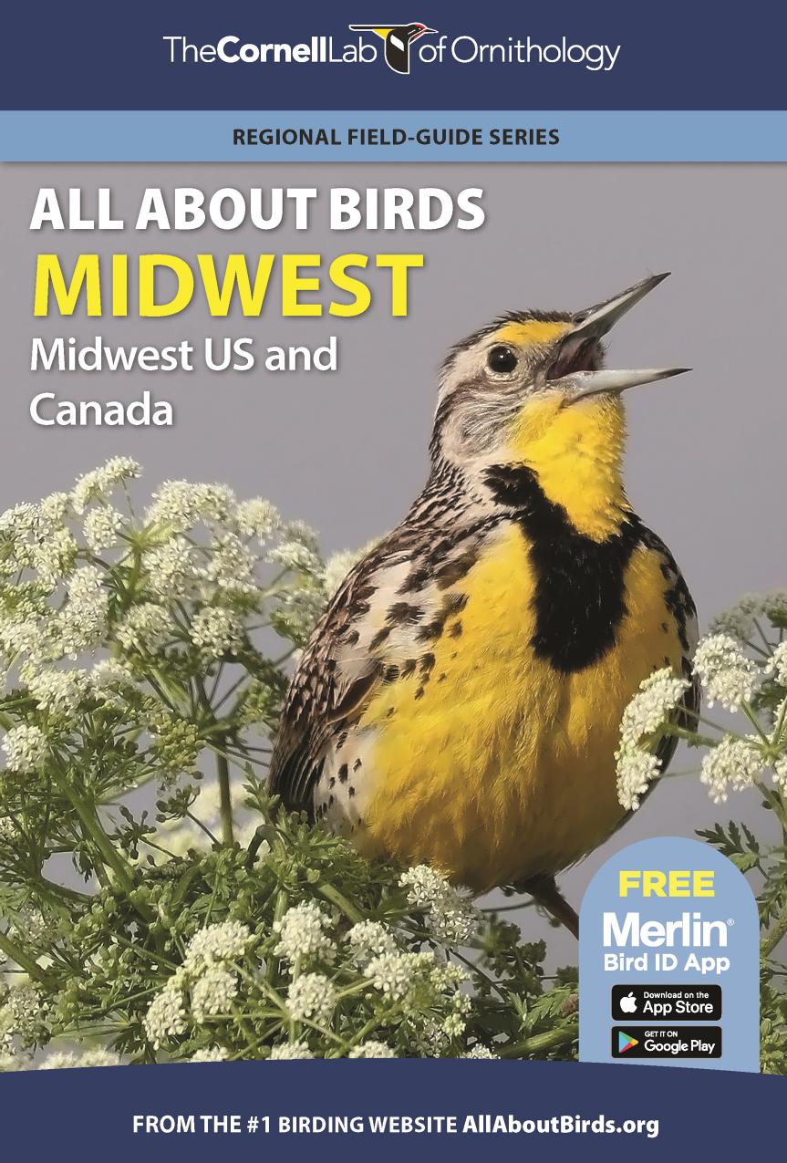 All about birds : Midwest by Cornell University. Laboratory of Ornithology