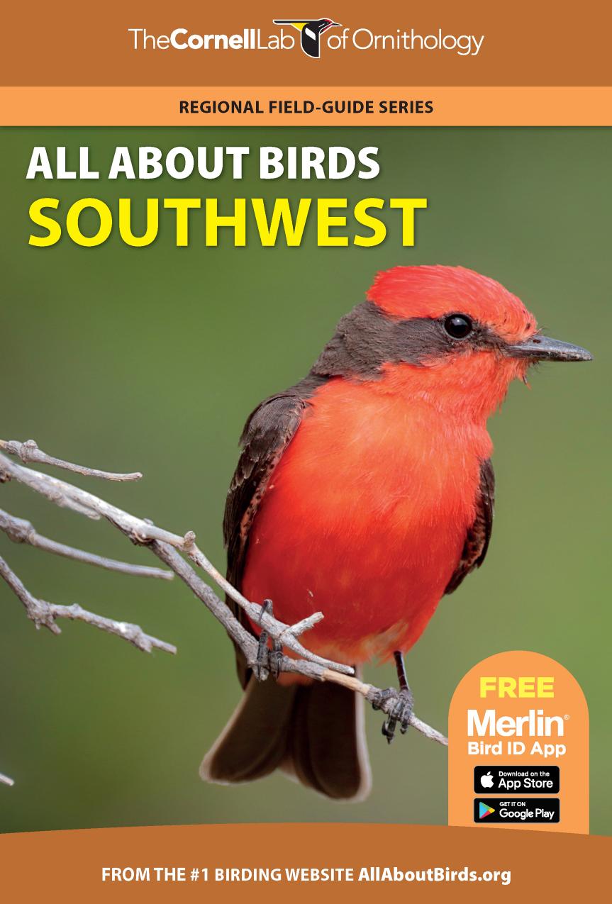 All about birds Southwest by Cornell University. Laboratory of Ornithology