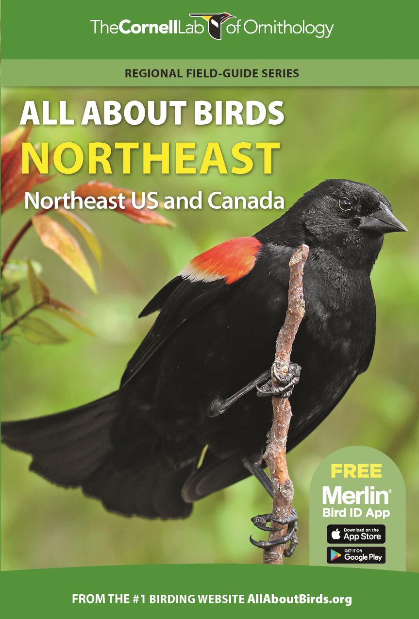All about birds. Northeast. Northeast US and Canada by Cornell University. Laboratory of Ornithology