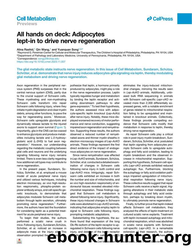 All hands on deck: Adipocytes lept-in to drive nerve regeneration by Alina Rashid & Qin Wang & Yuanquan Song
