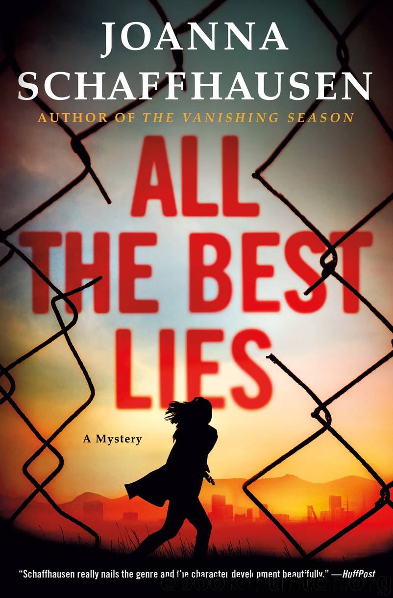 All the Best Lies--A Mystery by Joanna Schaffhausen