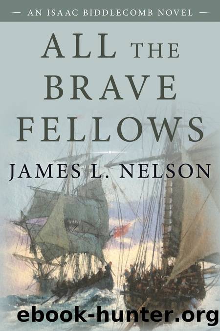 All the Brave Fellows by James L. Nelson
