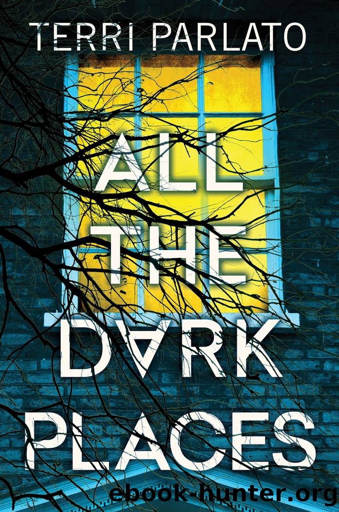 All the Dark Places by Terri Parlato