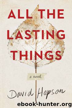 All the Lasting Things by David Hopson
