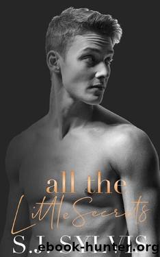 All the Little Secrets: A Standalone Enemies-to-Lovers High School Romance (English Prep Book 2) by S.J. Sylvis