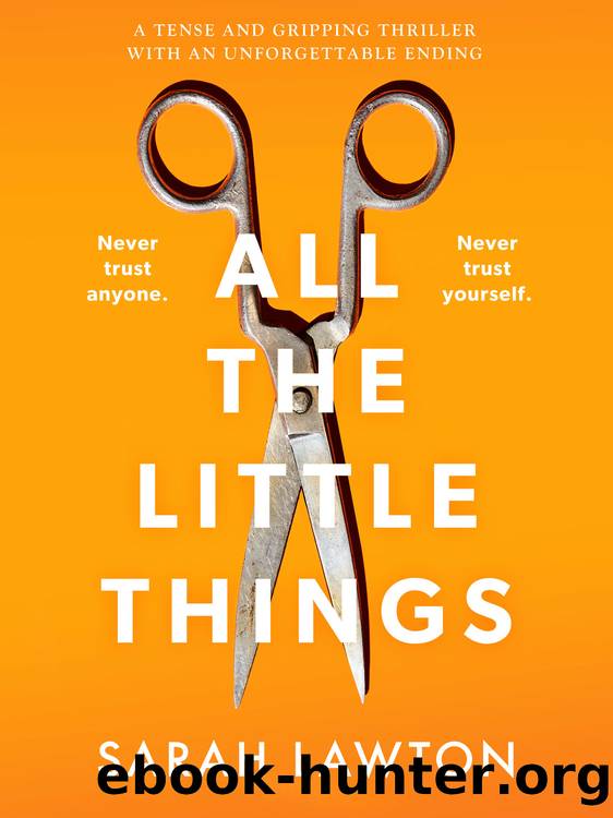 All the Little Things by Sarah Lawton