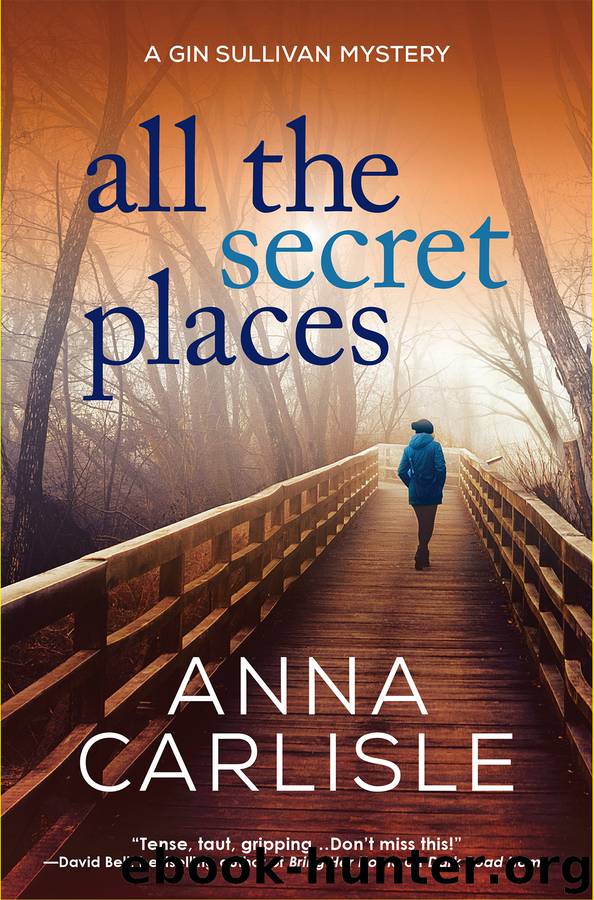 All the Secret Places by Anna Carlisle