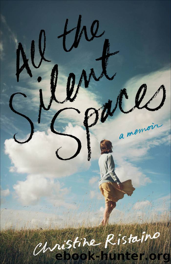 All the Silent Spaces by Christine Ristaino