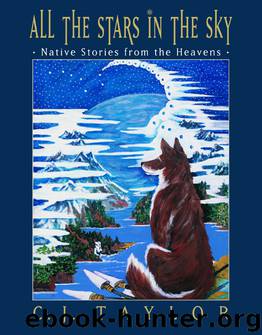 All the Stars in the Sky by C.J. Taylor