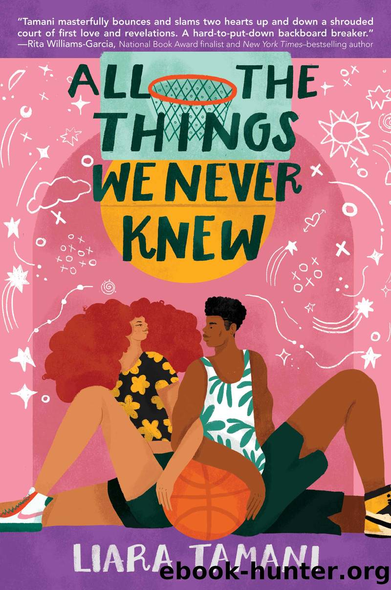 All the Things We Never Knew by Liara Tamani