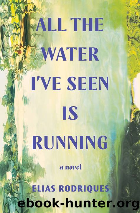All the Water I've Seen Is Running by Elias Rodriques