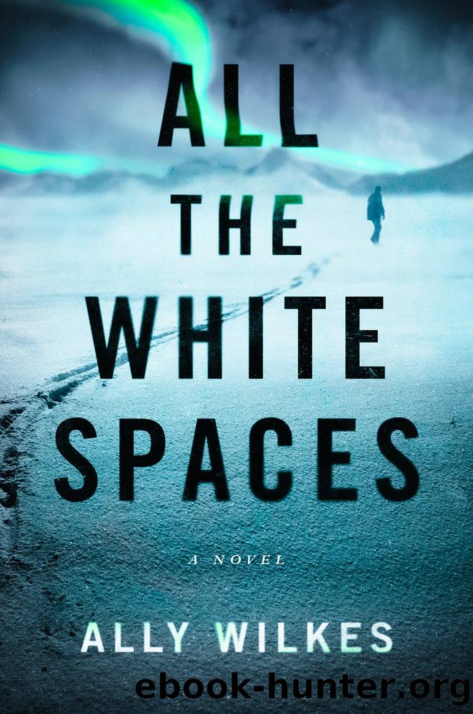 All the White Spaces by Ally Wilkes