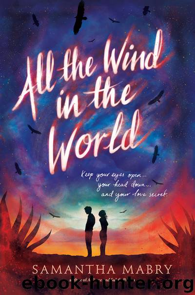 All the Wind in the World by Samantha Mabry