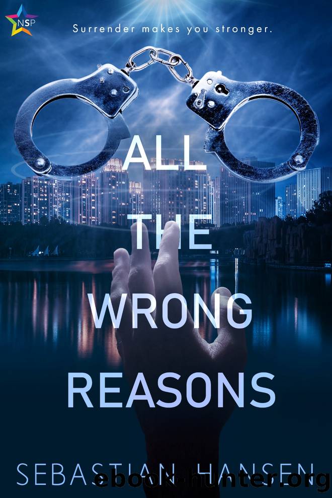 All the Wrong Reasons by Sebastian Hansen