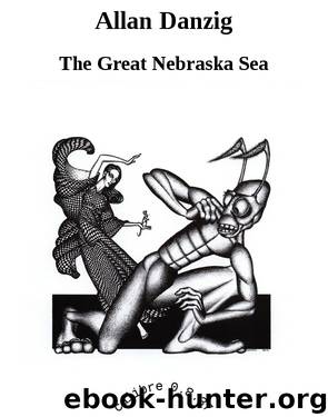 Allan Danzig by The Great Nebraska Sea