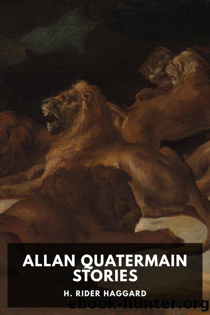 Allan Quatermain Stories by Unknown