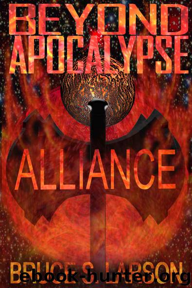 Alliance by Bruce S Larson