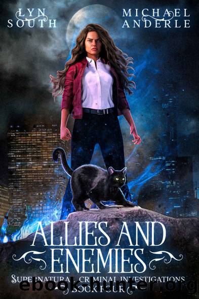 Allies and Enemies by Lyn South & Michael Anderle