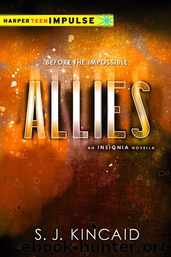 Allies by S. J. Kincaid