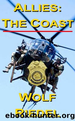 Allies_The Gulf_A Mark Winters, CID Novel by Wolf Riedel