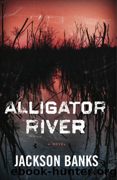 Alligator River: a Thriller by Jackson Banks