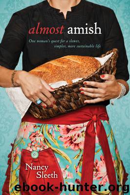 Almost Amish by Nancy Sleeth
