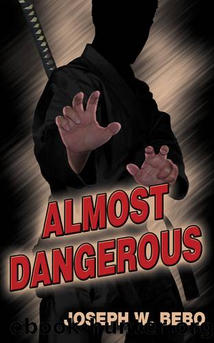 Almost Dangerous by Joseph W Bebo